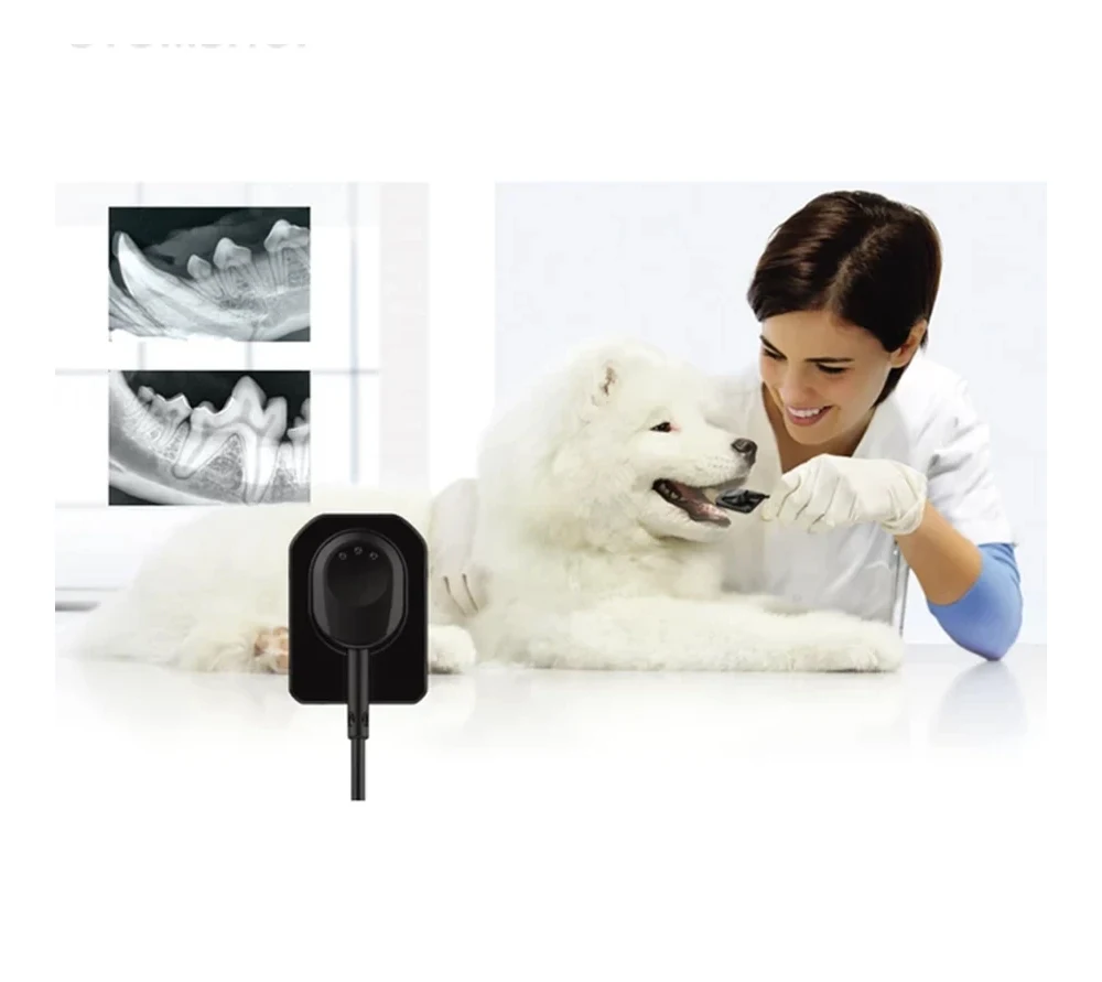 Vatech EzSensor Vet 1.0 цифровой радиовизиограф для ветеринарии