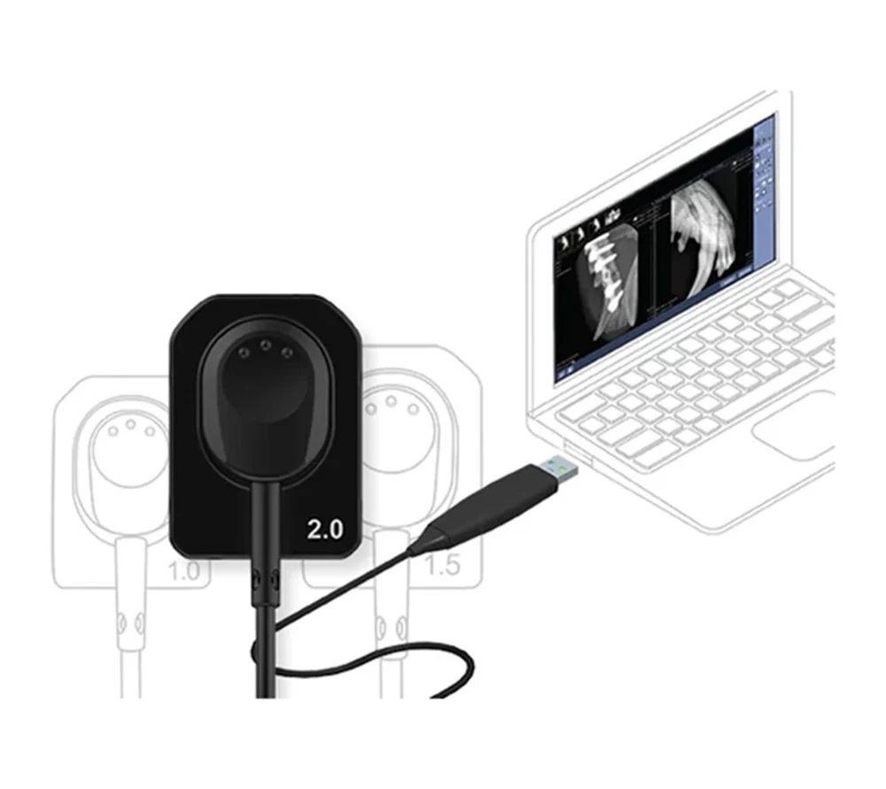 Vatech EzSensor Vet 2.0 цифровой радиовизиограф для ветеринарии